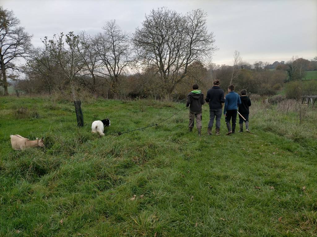  Activité Bretagne Ille-et-Vilaine Accueil individuel à la journée