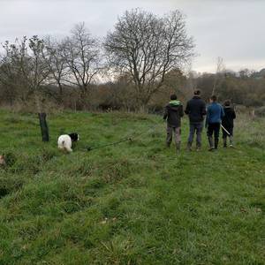 Photo de Accueil individuel à la journée