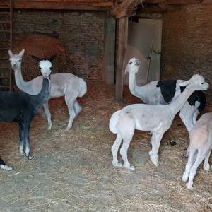 Photo de Domaine de La Calprade