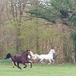 Photo de la ferme éducative El rancho