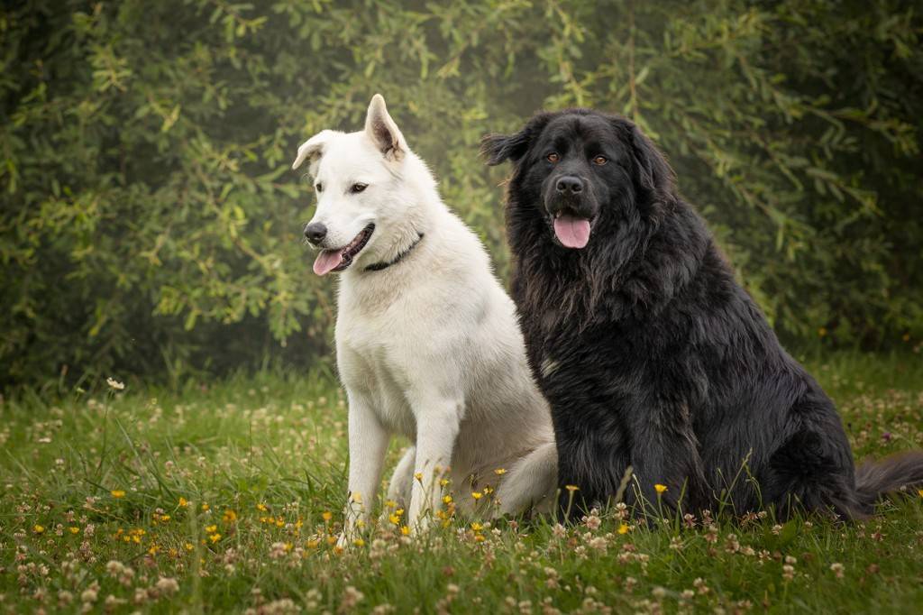  Activité Pays de la Loire Mayenne Terr'avie