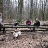 Balade en forêt avec les chiens et les biquets -  Accueil social Accueil au refuge de la fontaine (Bretagne, Ille-et-Vilaine)