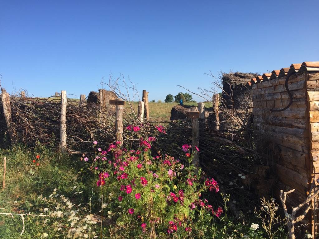  Activity Occitanie Aveyron Accueil social