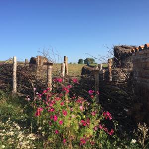 Photo of Accueil social