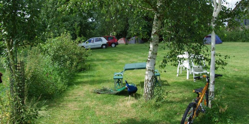  BERGER DU VAL DE SERRE - SCEA dU BERGER (Hauts-de-France, Aisne)