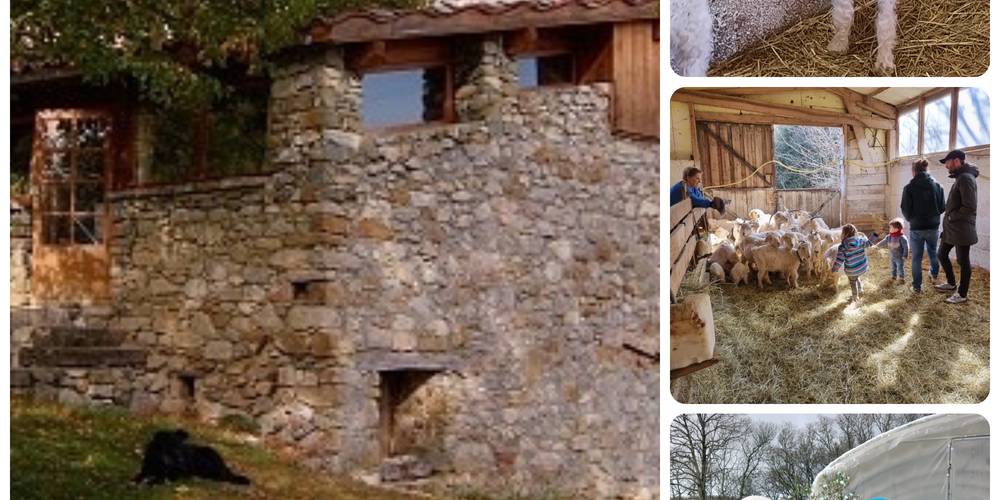  LA FERME DE LA MONTAGNE (Provence-Alpes-Côte d’Azur, Hautes-Alpes)
