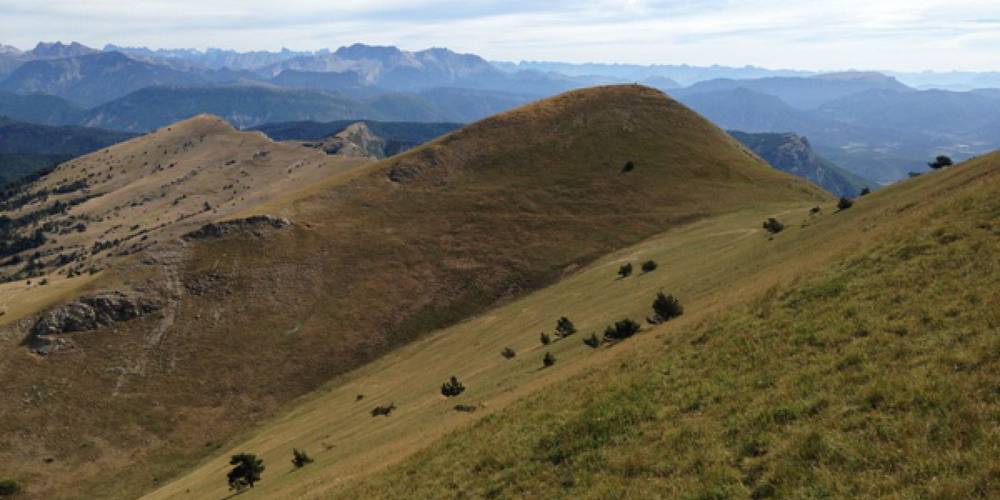 Le Duffre -  LA FERME DE LA MONTAGNE (Provence-Alpes-Côte d’Azur, Hautes-Alpes)