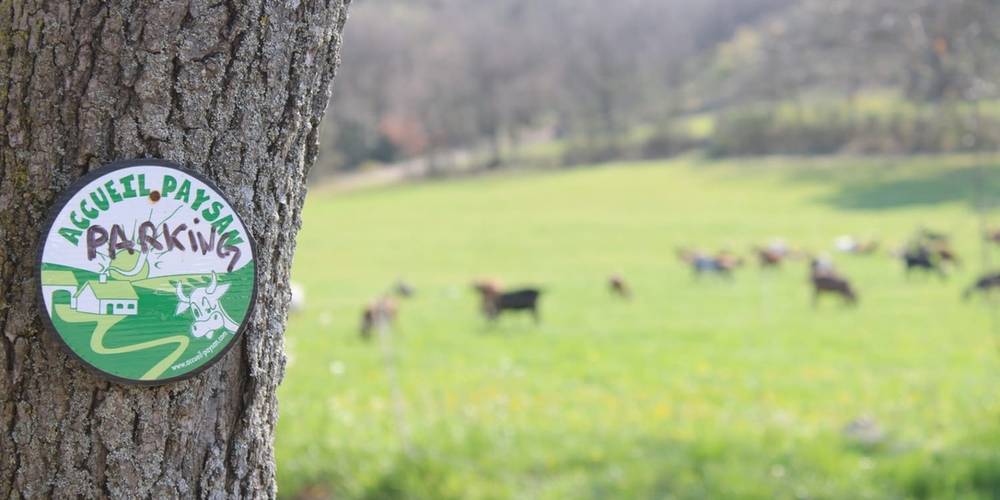  HAMEAU DE LA JACOURELLE (Provence-Alpes-Côte d’Azur, Bouches-du-Rhône)