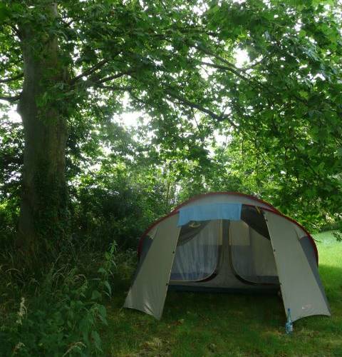 Emplacement de tente -  CAMPING DU MOUTON NOIR (Occitanie, Gers)