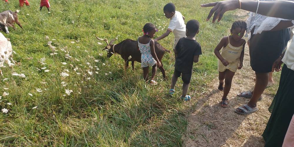  CAMPING DU MOUTON NOIR (Occitanie, Gers)