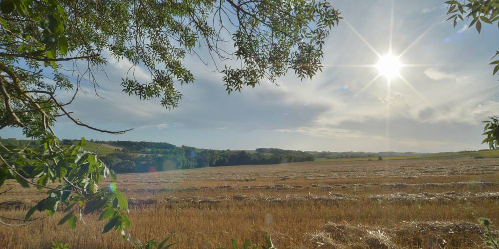  CAMPING DU MOUTON NOIR (Occitanie, Gers)