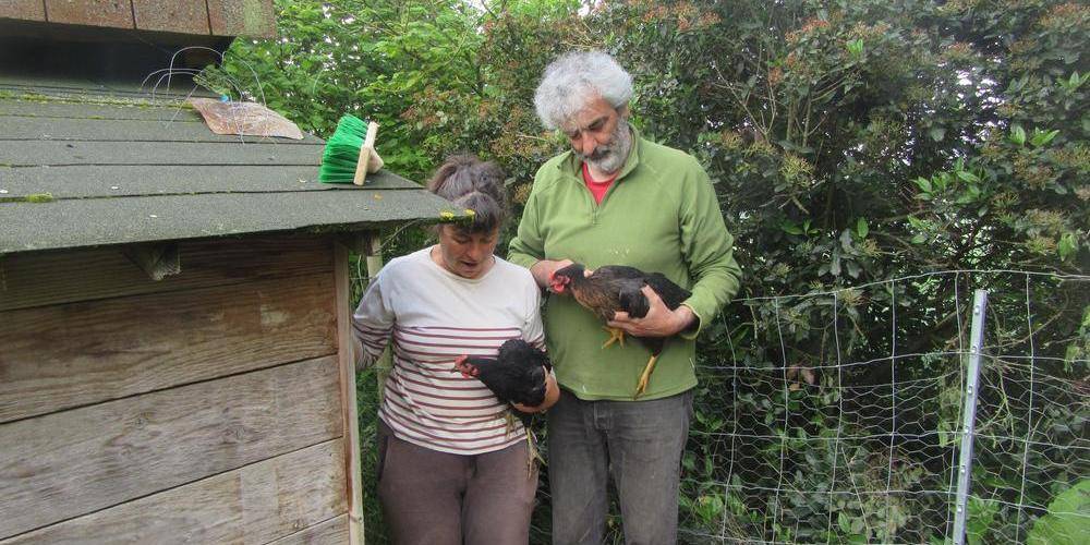 La cabane des poules -  CAMPING DU MOUTON NOIR (Occitanie, Gers)