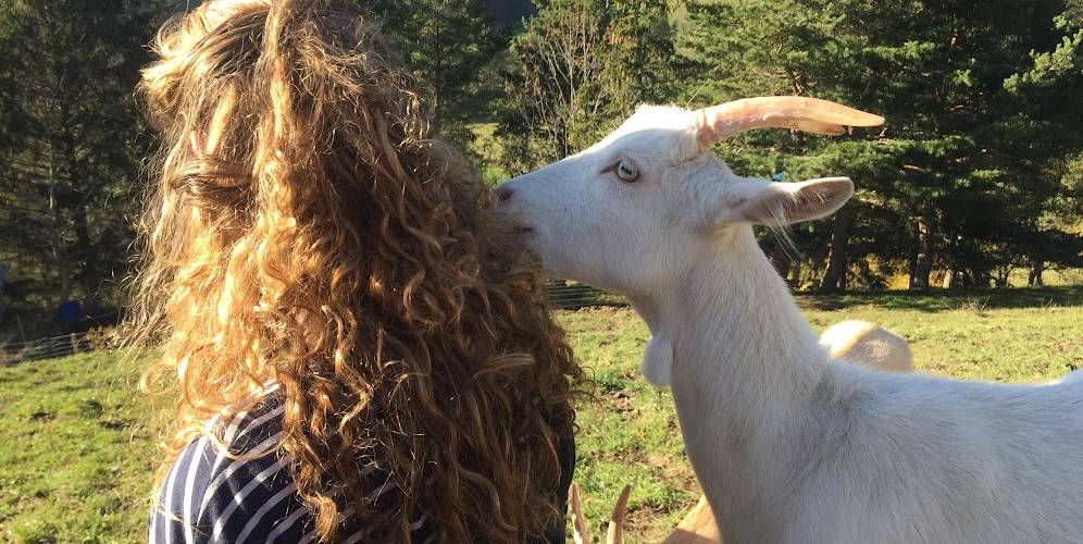  CRIS-CATH, A LITTLE CORNER OF PARADISE! (Auvergne-Rhône-Alpes, Isère)