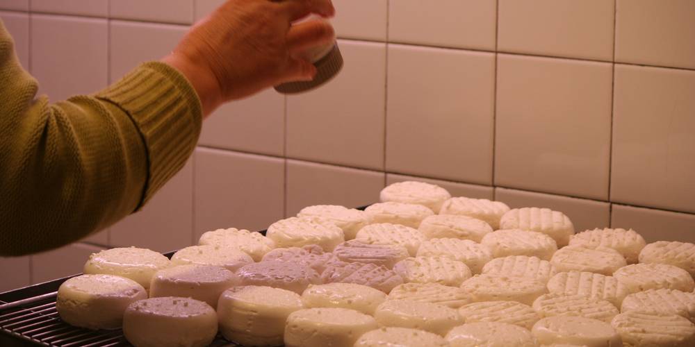  CRIS-CATH, A LITTLE CORNER OF PARADISE! (Auvergne-Rhône-Alpes, Isère)