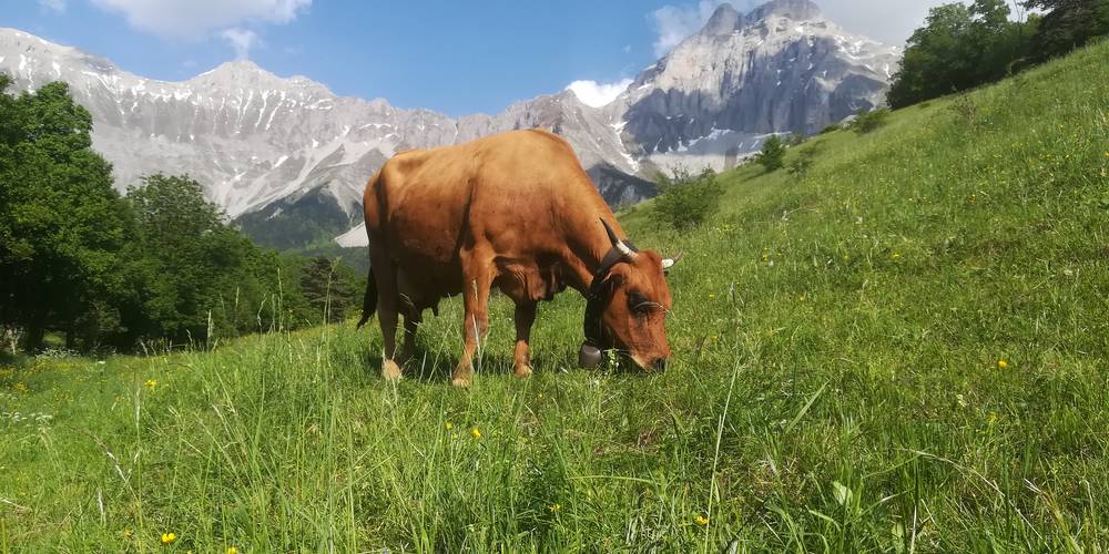  CRIS-CATH, A LITTLE CORNER OF PARADISE! (Auvergne-Rhône-Alpes, Isère)