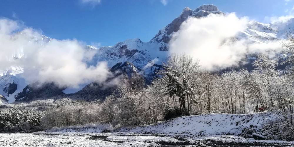  CRIS-CATH, A LITTLE CORNER OF PARADISE! (Auvergne-Rhône-Alpes, Isère)