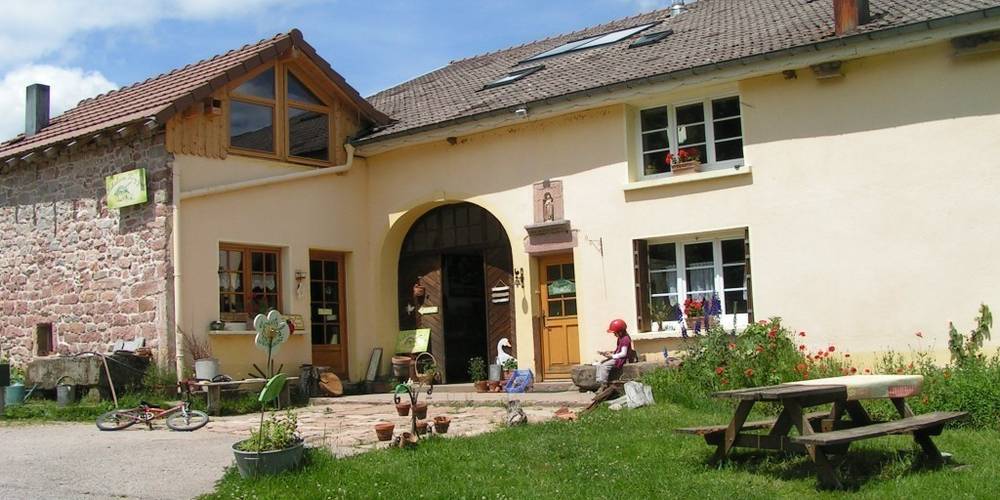  BABEL MAGALI ET DAMIEN (Grand Est, Vosges)