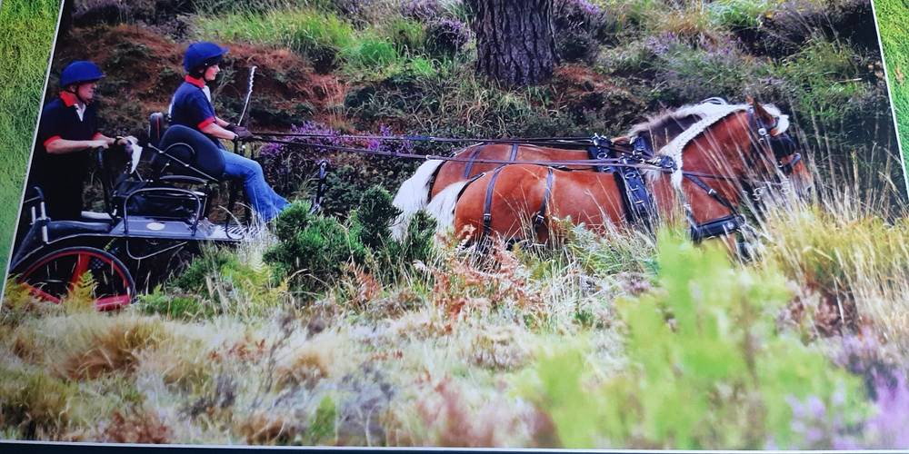 Démonstration Marathon -  FERME DE SAINTE MARIE (Bourgogne-Franche-Comté, Jura)