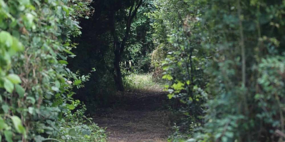  LES JARDINS DU CYGNE (Hauts-de-France, Nord)