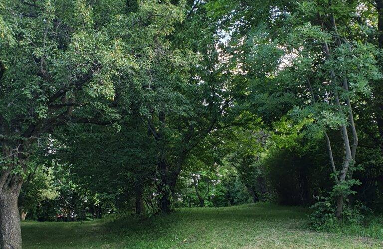  LA CIVADILLE - FARM CAMPING (Provence-Alpes-Côte d’Azur, Hautes-Alpes)