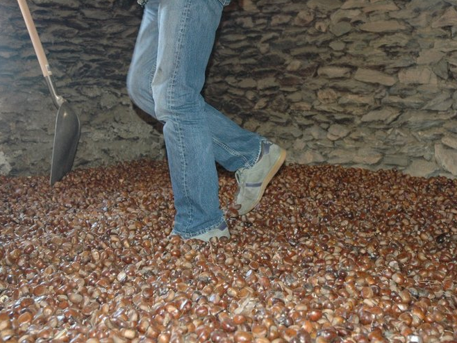 la clède -  L'Aulne d'Alune (Auvergne-Rhône-Alpes, Ardèche)