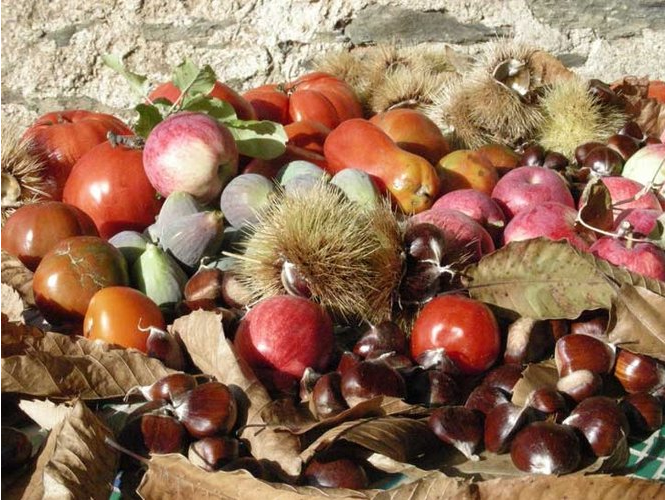 récolte du jardin -  L'Aulne d'Alune (Auvergne-Rhône-Alpes, Ardèche)
