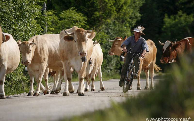  Sur Laisia (Bourgogne-Franche-Comté, Jura)