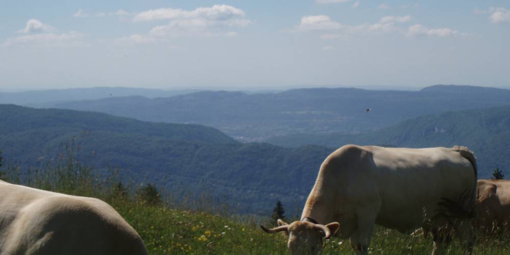  Sur Laisia (Bourgogne-Franche-Comté, Jura)