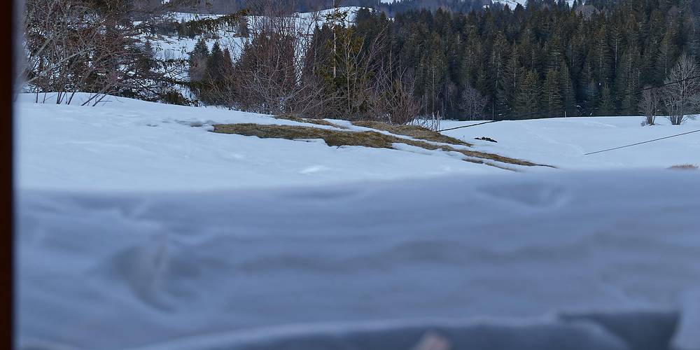 Coin Lecture -  Sur Laisia (Bourgogne-Franche-Comté, Jura)