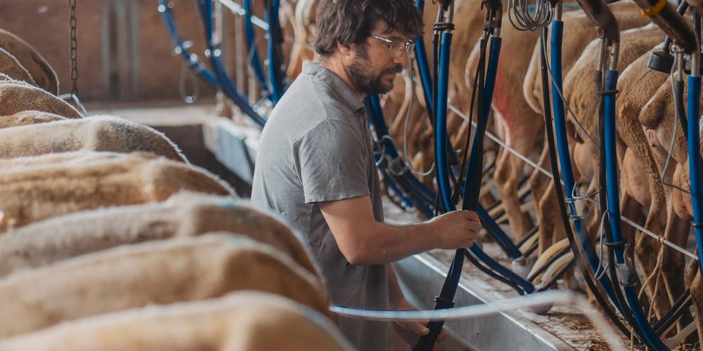  FERME DE LA BLAQUIERE (Occitanie, Aveyron)