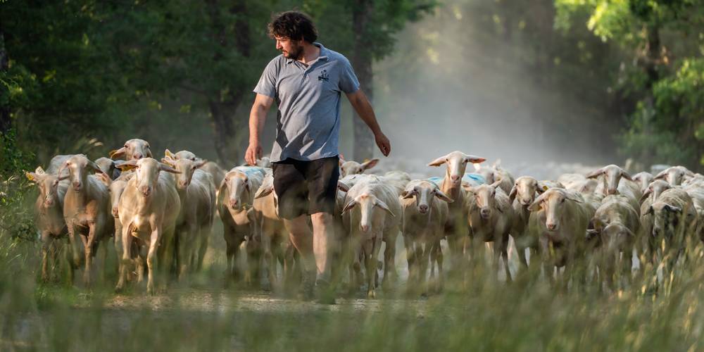  FERME DE LA BLAQUIERE (Occitanie, Aveyron)