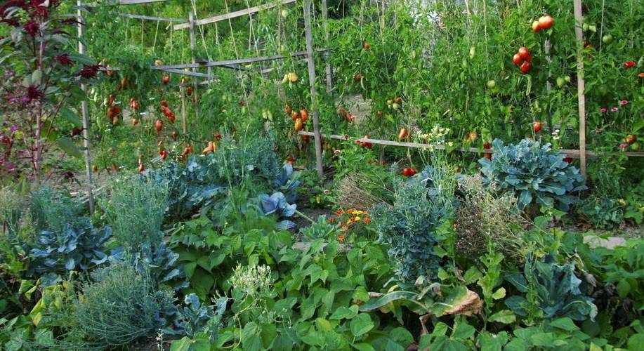  METAL MAURYA ET ACHTEN GER (Occitanie, Aveyron)