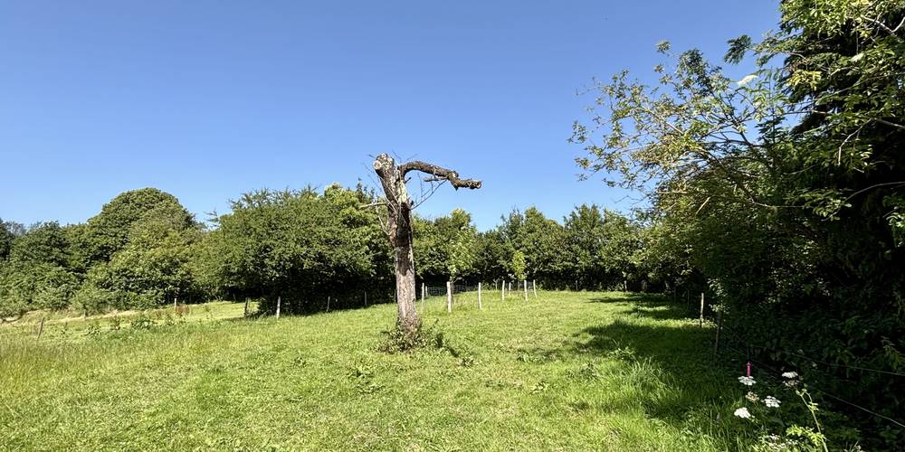  Le Pas d'âne (Normandie, Calvados)