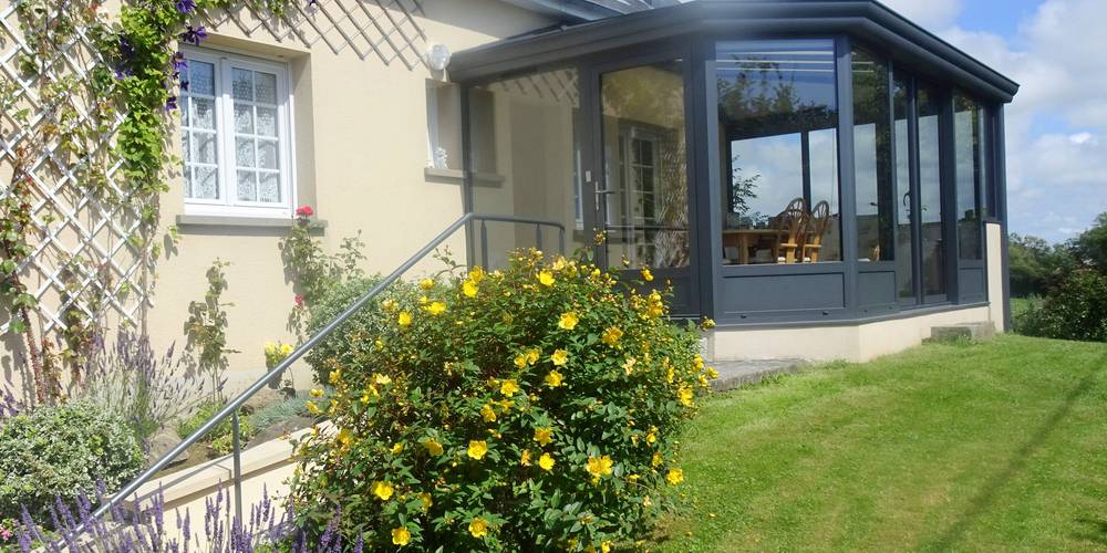  Les petites centaurées (Normandie, Manche)