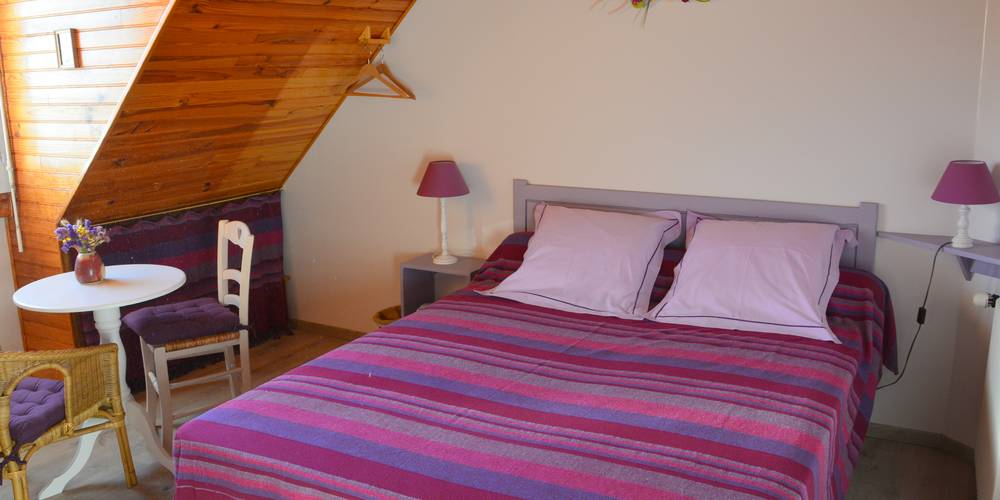  Les petites centaurées (Normandie, Manche)