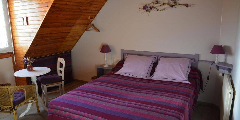  Les petites centaurées (Normandie, Manche)