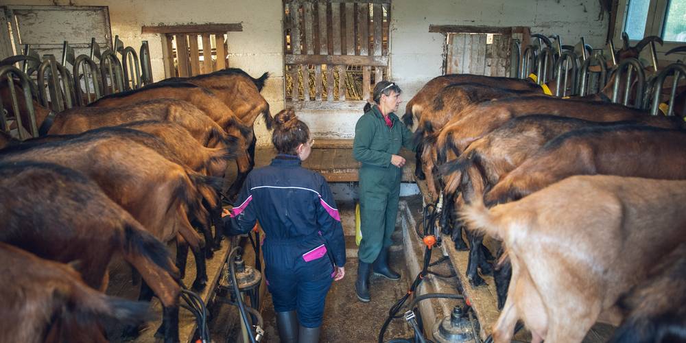  FERME DES PLACES (Centre-Val de Loire, Cher)