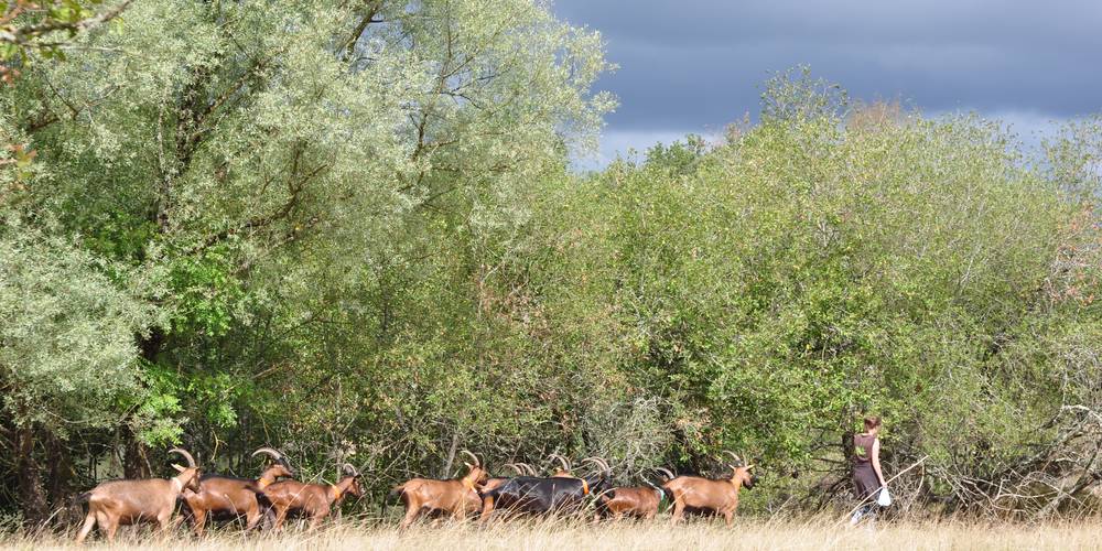  FERME DES PLACES (Centre-Val de Loire, Cher)