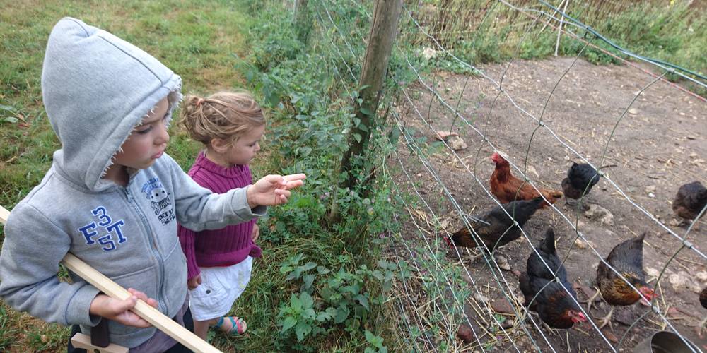 FERME DES PLACES (Centre-Val de Loire, Cher)