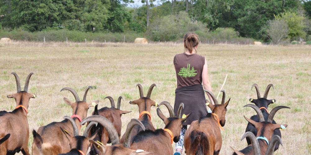  FERME DES PLACES (Centre-Val de Loire, Cher)