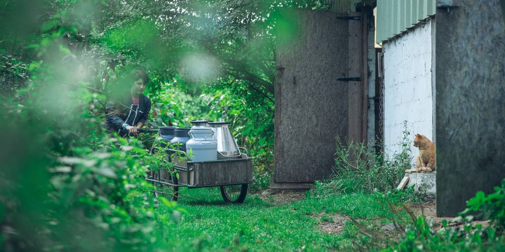  FERME DES PLACES (Centre-Val de Loire, Cher)