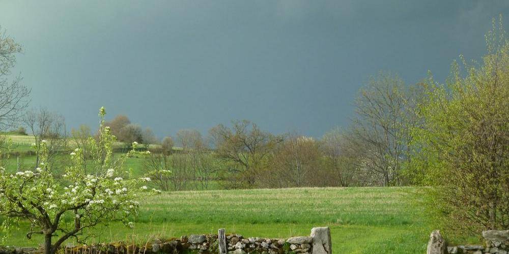 les champs autour -  BARN DU PHAUX (Auvergne-Rhône-Alpes, Loire)