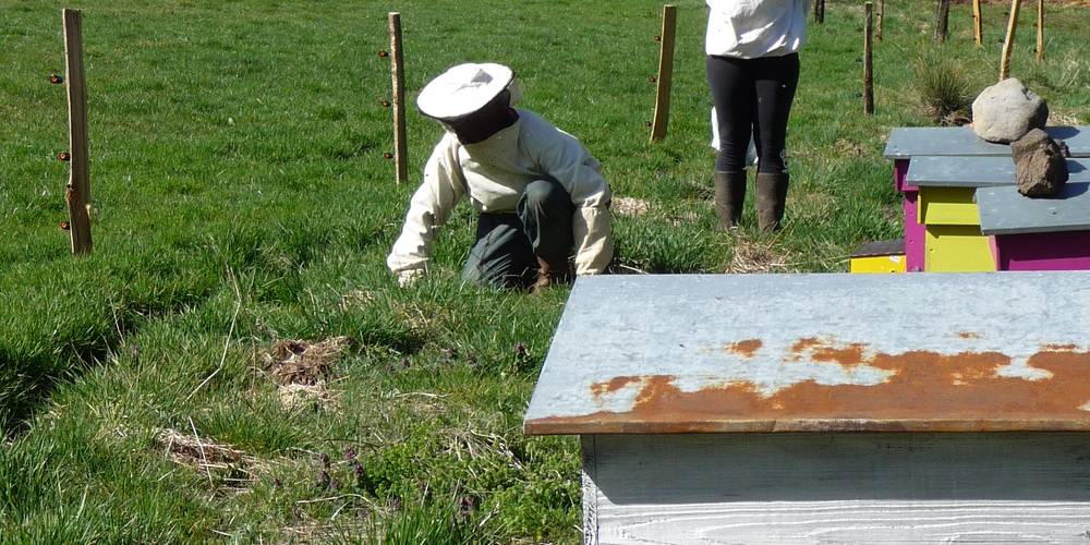  La ferme d'Elisariane (Auvergne-Rhône-Alpes, Cantal)