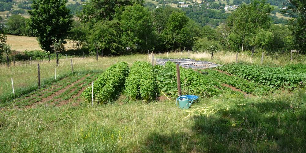 La ferme d'Elisariane (Auvergne-Rhône-Alpes, Cantal)