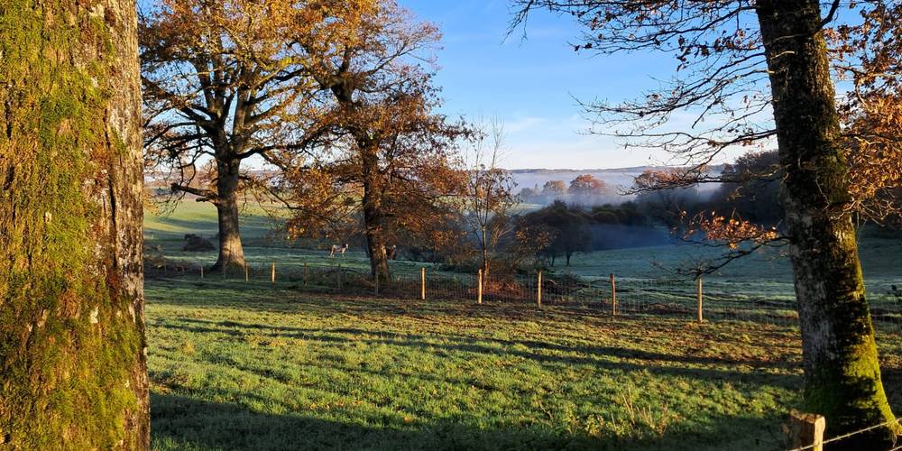  Les sabots de laine (Nouvelle-Aquitaine, Haute-Vienne)