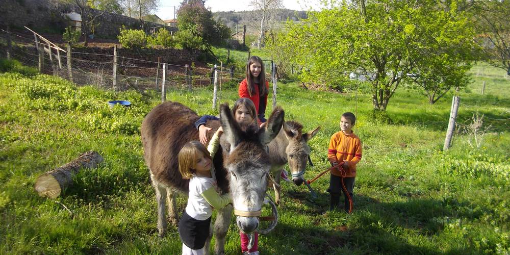 Mona et Gentiane, les compagnes des enfants qui éloignent le renard -  La Table de Vailhac (Auvergne-Rhône-Alpes, Haute-Loire)