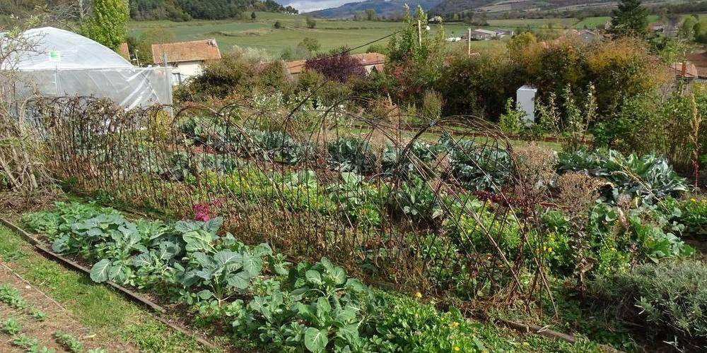 Potager en permaculture -  La Table de Vailhac (Auvergne-Rhône-Alpes, Haute-Loire)