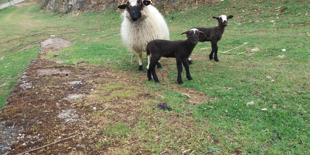  La Ferme du Breil (Occitanie, Aveyron)