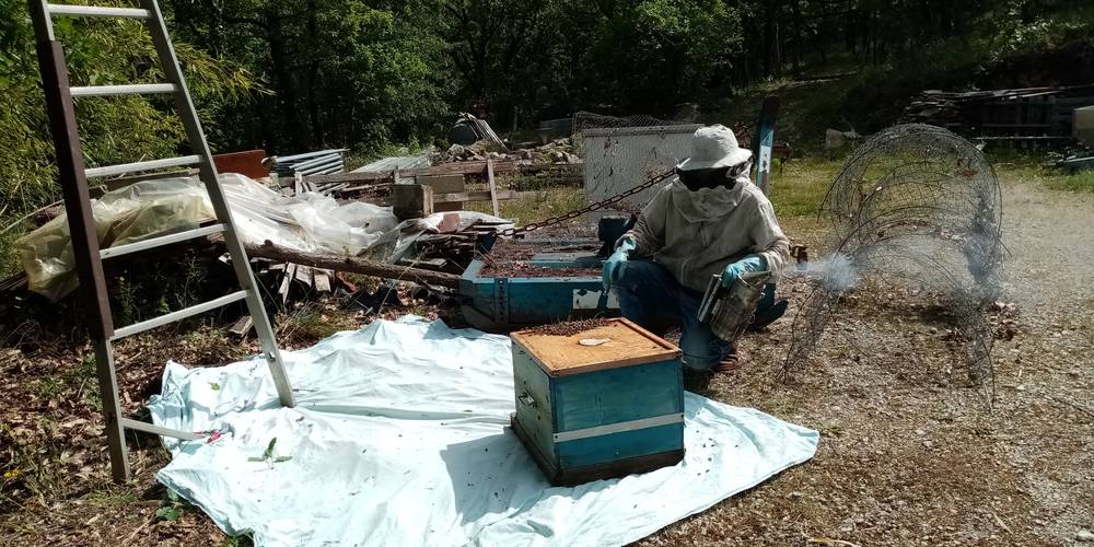  LE RUCHER DE PECH LARIVE (Occitanie, Lot)