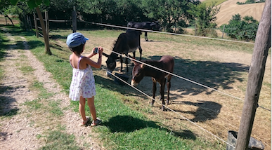  ASINERIE D'EMBAZAC (Occitanie, Gers)
